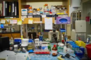 For Researchers