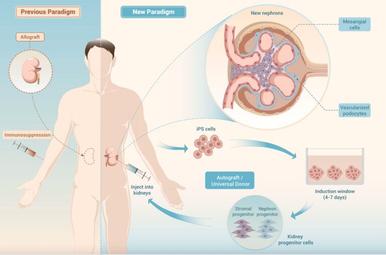 1771942556283 Graphic