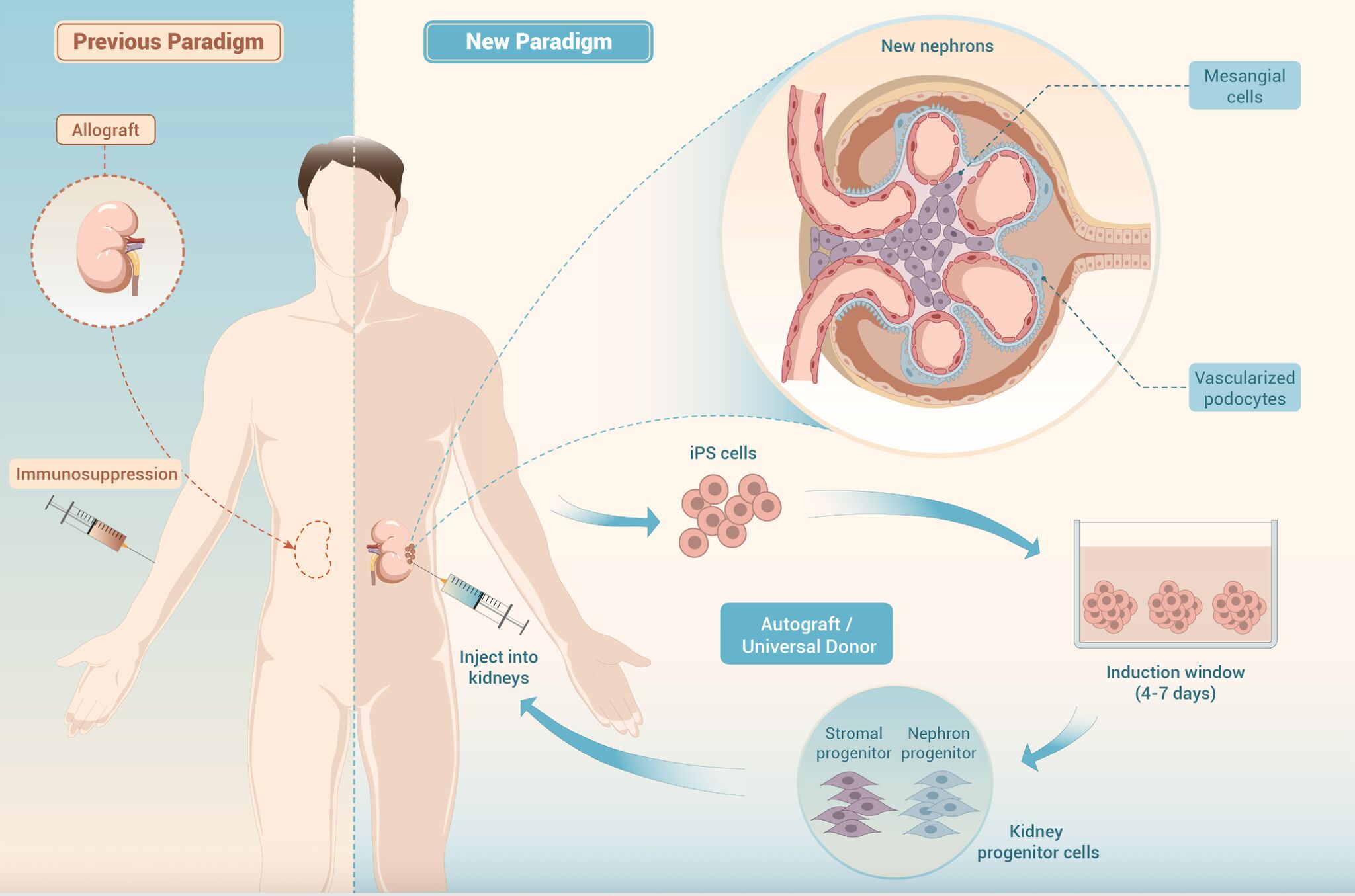 1771942556283 Graphic